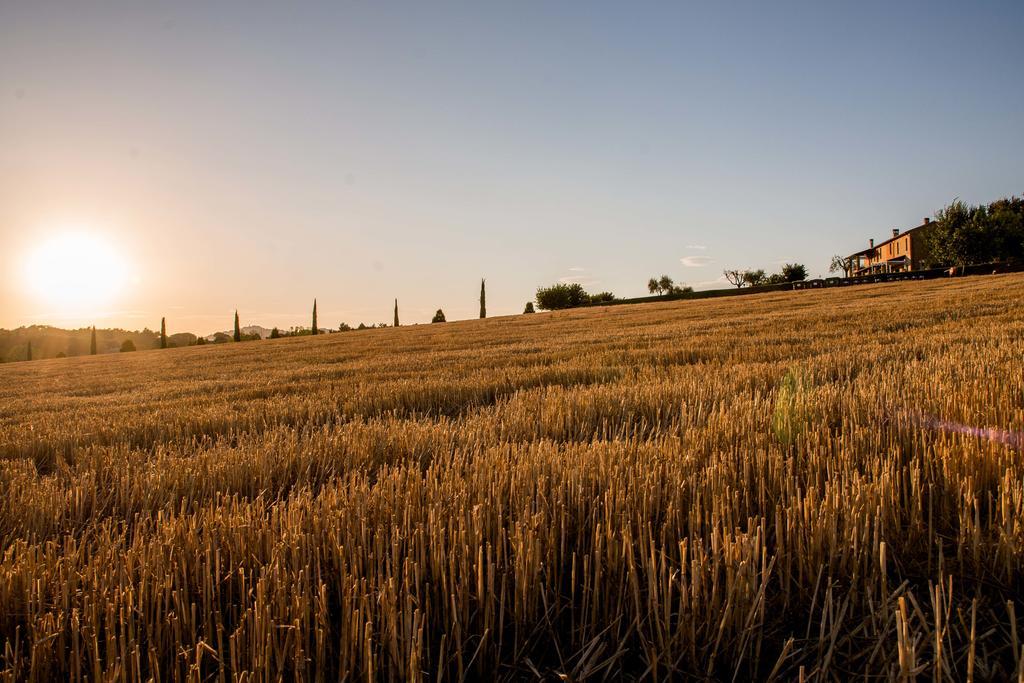 Agriturismo Il Tiro Castel del Piano  Εξωτερικό φωτογραφία